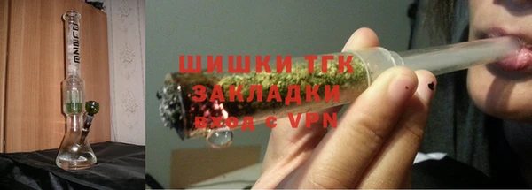 шишки Аркадак