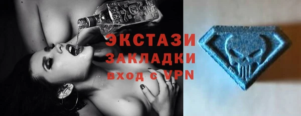 шишки Аркадак