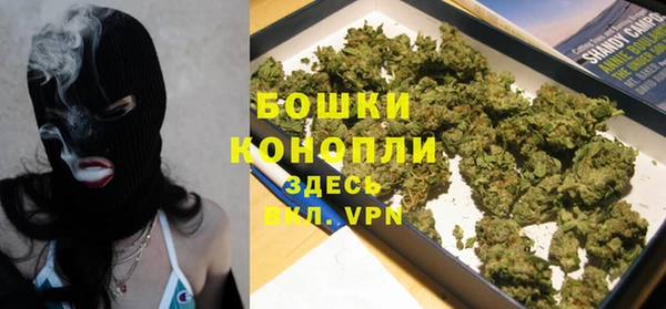 шишки Аркадак