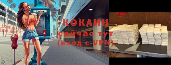 шишки Аркадак