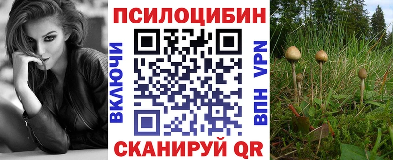 где можно купить наркотик  Кумертау  Псилоцибиновые грибы Psilocybe 